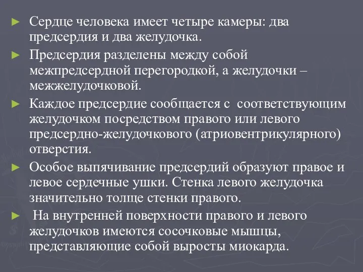 Сердце человека имеет четыре камеры: два предсердия и два желудочка.