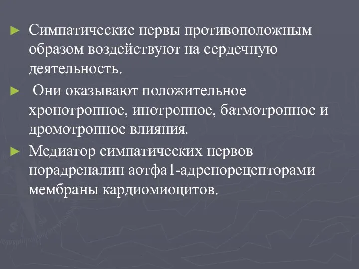 Симпатические нервы противоположным образом воздействуют на сердечную деятельность. Они оказывают