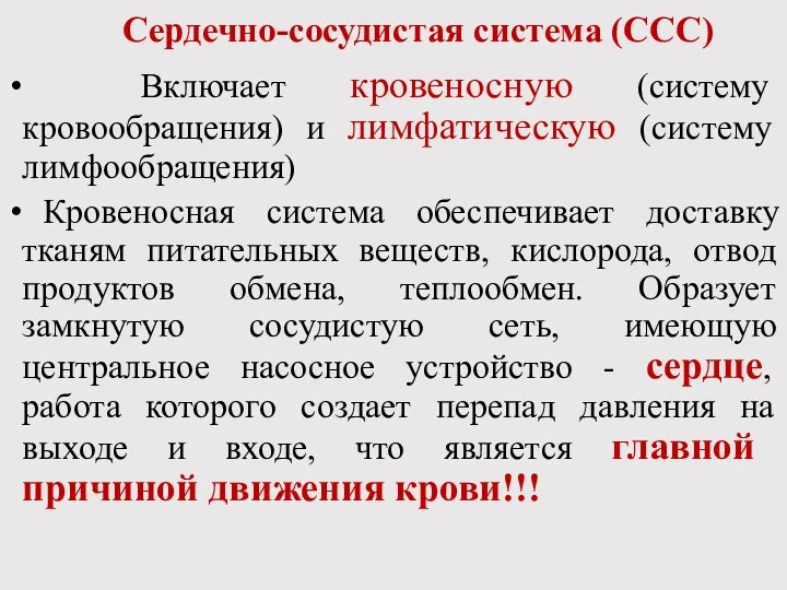 Сердечно-сосудистая система (ССС) Включает кровеносную (систему кровообращения) и лимфатическую (систему