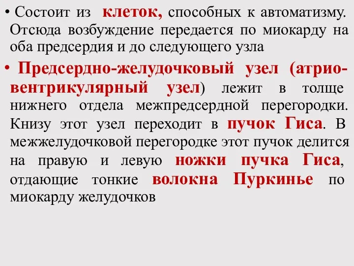 Состоит из клеток, способных к автоматизму. Отсюда возбуждение передается по