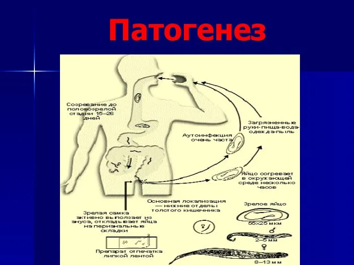 Патогенез