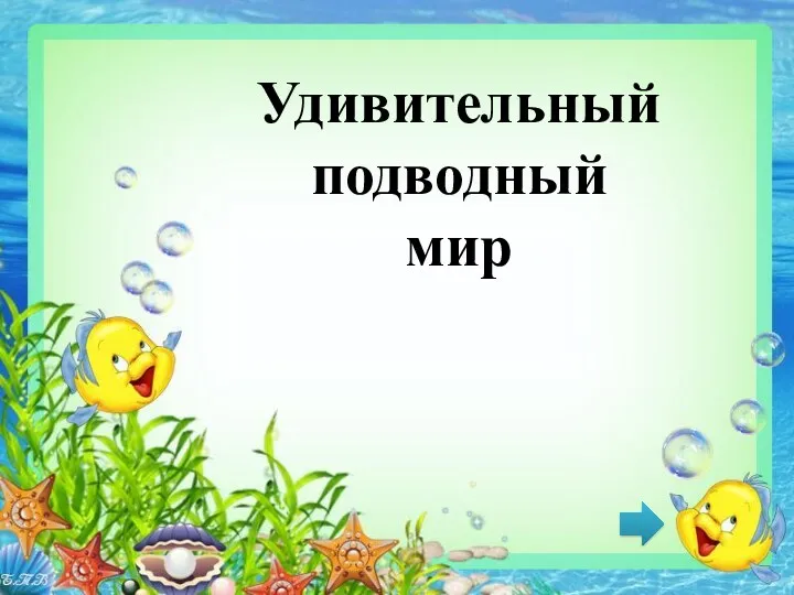 Удивительный подводный мир