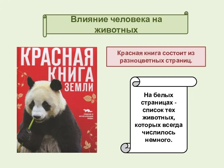 Влияние человека на животных Красная книга состоит из разноцветных страниц. На белых страницах