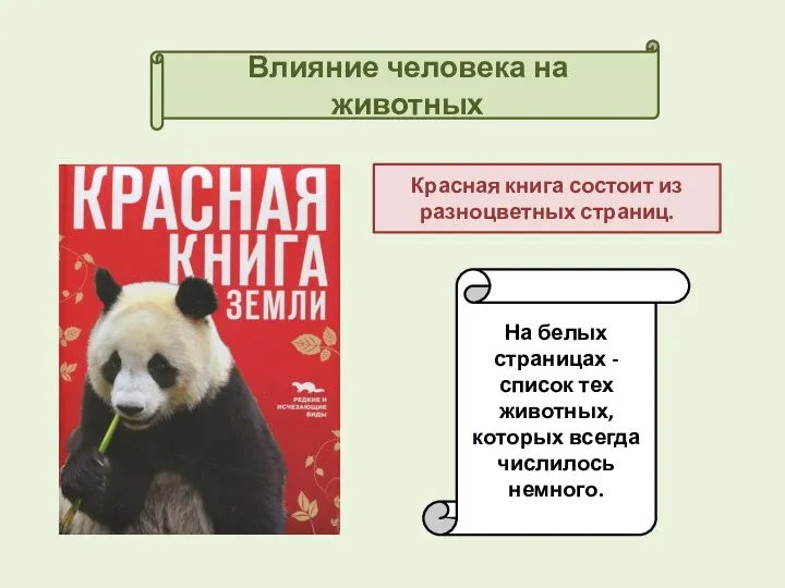 Влияние человека на животных Красная книга состоит из разноцветных страниц.