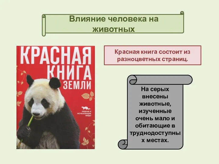 Влияние человека на животных Красная книга состоит из разноцветных страниц.