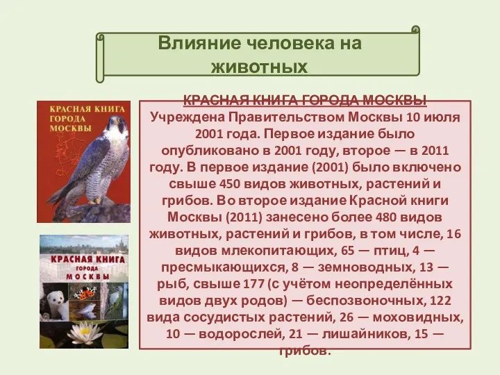 Влияние человека на животных КРАСНАЯ КНИГА ГОРОДА МОСКВЫ Учреждена Правительством Москвы 10 июля