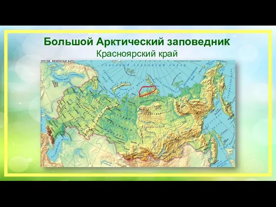 Большой Арктический заповедник Красноярский край