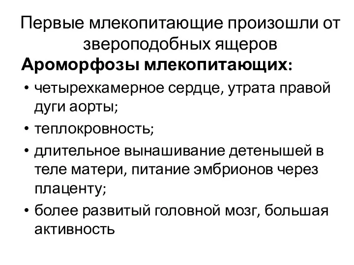 Первые млекопитающие произошли от звероподобных ящеров Ароморфозы млекопитающих: четырехкамерное сердце,