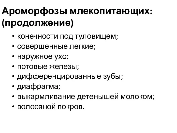 Ароморфозы млекопитающих: (продолжение) конечности под туловищем; совершенные легкие; наружное ухо;