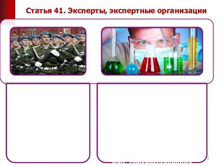 Статья 41. Эксперты, экспертные организации