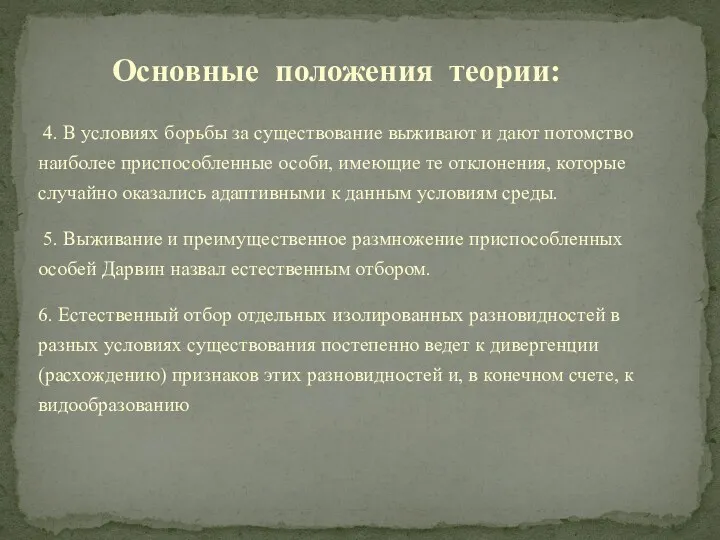 4. В условиях борьбы за существование выживают и дают потомство