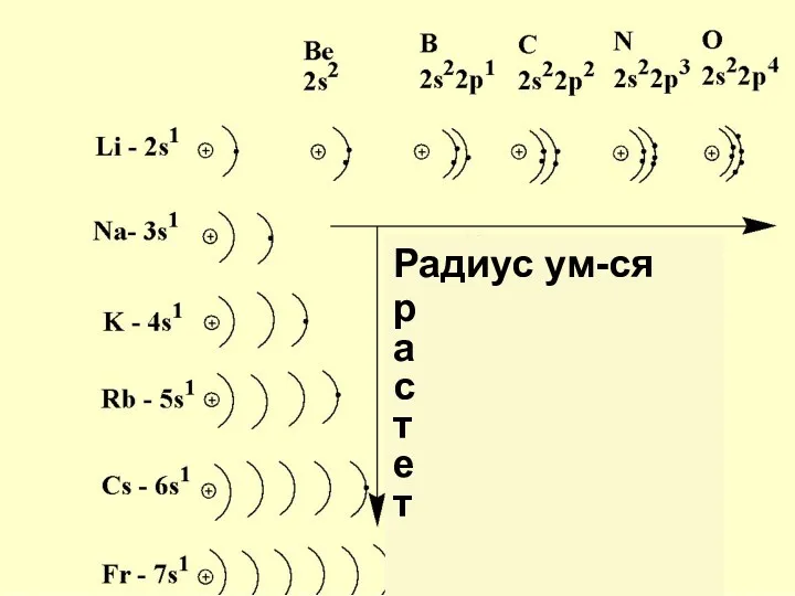 Радиус ум-ся р а с т е т