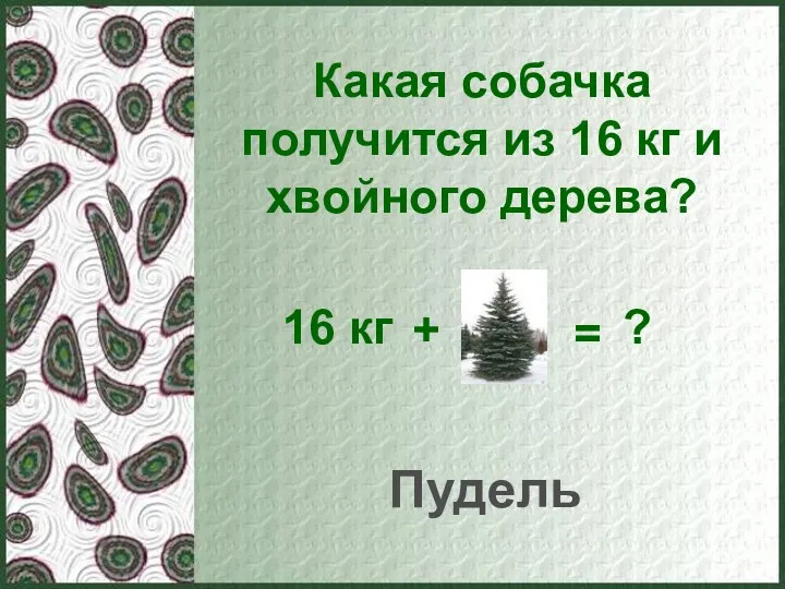 Какая собачка получится из 16 кг и хвойного дерева? Пудель