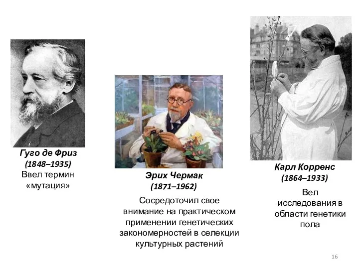 Гуго де Фриз (1848–1935) Ввел термин «мутация» Сосредоточил свое внимание