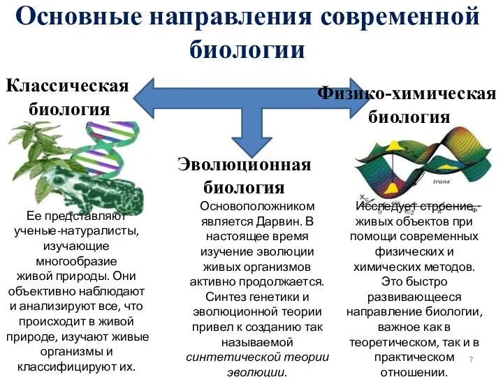 Основные направления современной биологии Классическая биология Эволюционная биология Физико-химическая биология