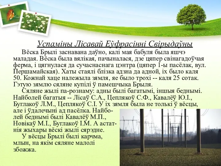 Успаміны Лісавай Еўфрасінні Свірыдаўны Вёска Брылі заснавана даўно, калі мая