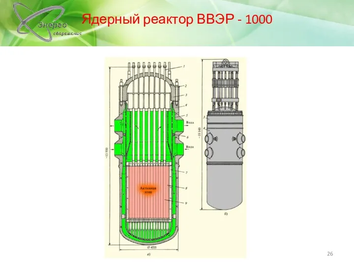 Ядерный реактор ВВЭР - 1000