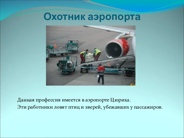 Охотник аэропорта Данная профессия имеется в аэропорте Цюриха. Эти работники