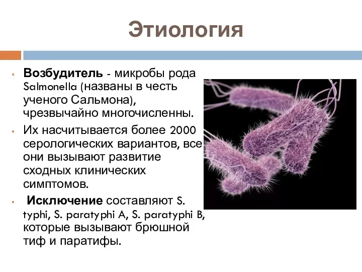 Этиология Возбудитель - микробы рода Salmonella (названы в честь ученого