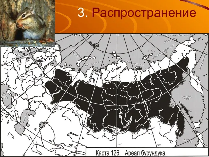 3. Распространение