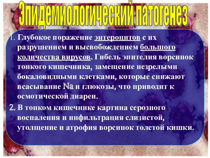 1. Глубокое поражение энтероцитов с их разрушением и высвобождением большого