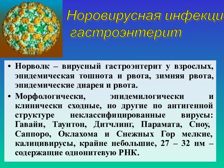 Норволк – вирусный гастроэнтерит у взрослых, эпидемическая тошнота и рвота,