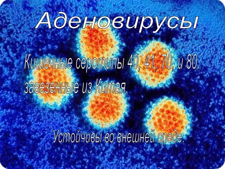 Аденовирусы Кишечные серотипы 40, 41, 70, и 80, завезенные из Китая. Устойчивы во внешней среде.