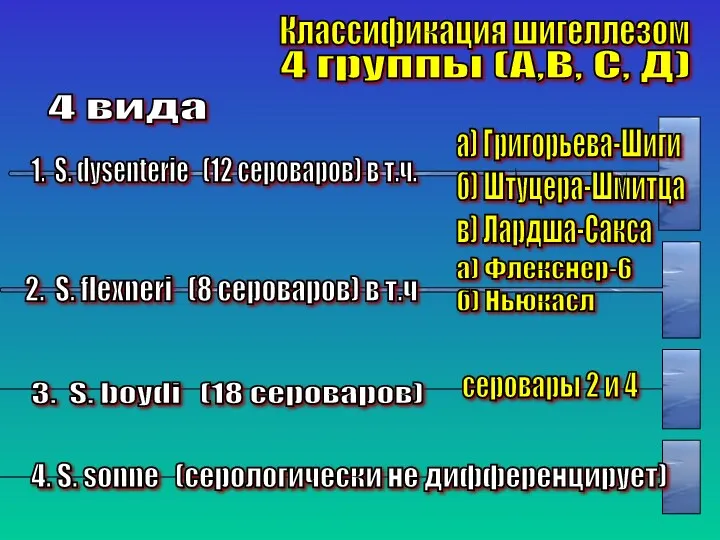 Классификация шигеллезом 4 группы (А,В, С, Д) 4 вида 1.