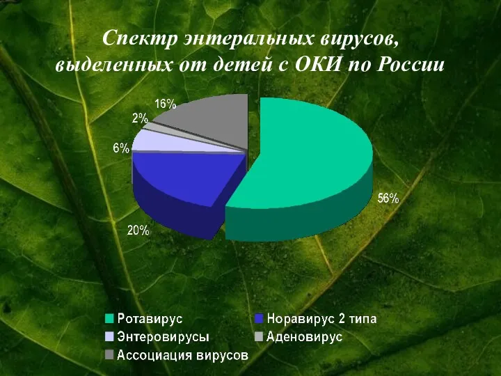 Спектр энтеральных вирусов, выделенных от детей с ОКИ по России