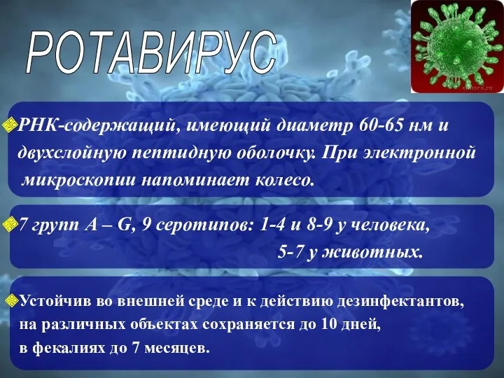 Устойчив во внешней среде и к действию дезинфектантов, на различных