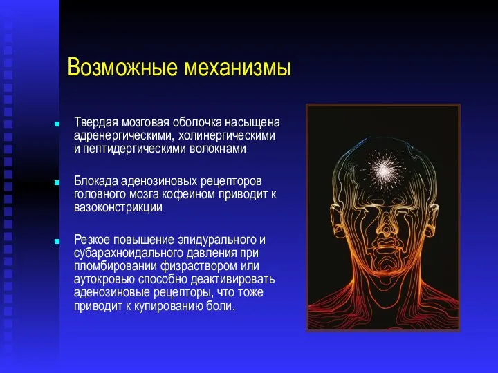 Возможные механизмы Твердая мозговая оболочка насыщена адренергическими, холинергическими и пептидергическими