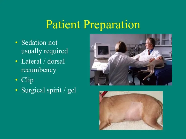 Patient Preparation Sedation not usually required Lateral / dorsal recumbency Clip Surgical spirit / gel