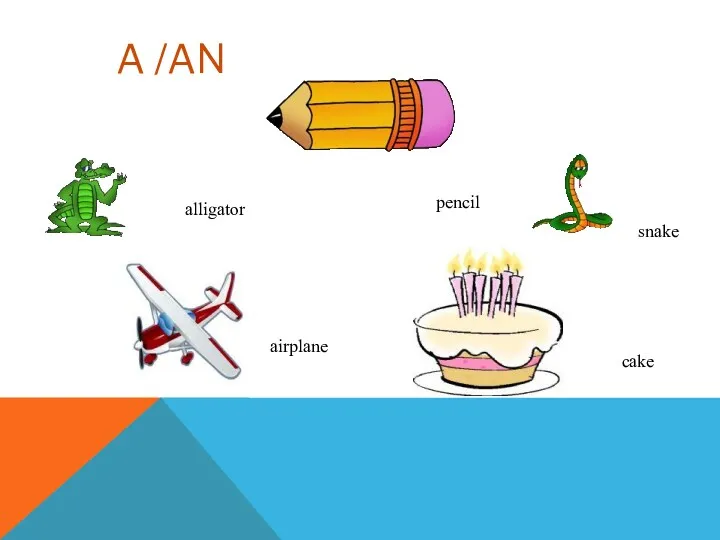 cake snake pencil airplane alligator A /AN