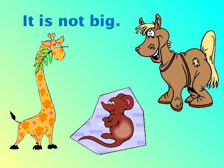 It is not big.