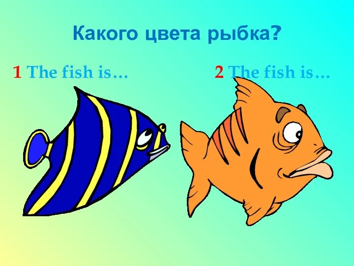 Какого цвета рыбка? 1 The fish is… 2 The fish is…