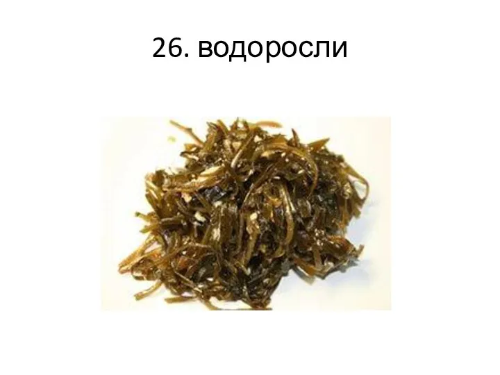 26. водоросли