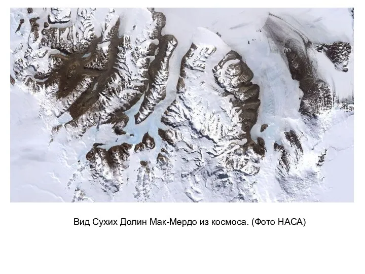Вид Сухих Долин Мак-Мердо из космоса. (Фото НАСА)