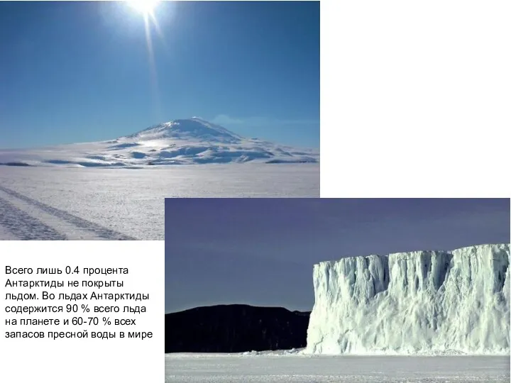 Всего лишь 0.4 процента Антарктиды не покрыты льдом. Во льдах