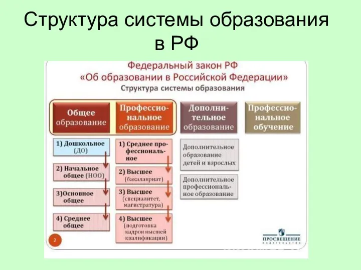 Структура системы образования в РФ