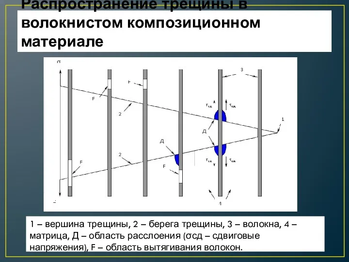 Распространение трещины в волокнистом композиционном материале 1 – вершина трещины,