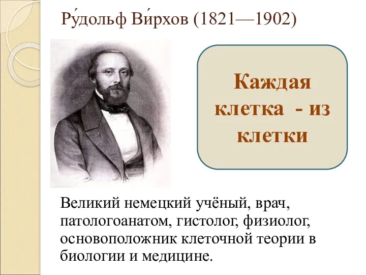 Ру́дольф Ви́рхов (1821—1902) Великий немецкий учёный, врач, патологоанатом, гистолог, физиолог,