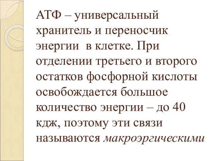 АТФ – универсальный хранитель и переносчик энергии в клетке. При