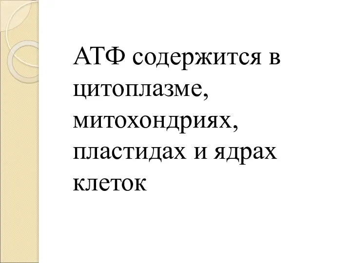 АТФ содержится в цитоплазме, митохондриях, пластидах и ядрах клеток