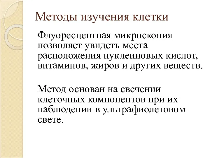 Методы изучения клетки Флуоресцентная микроскопия позволяет увидеть места расположения нуклеиновых