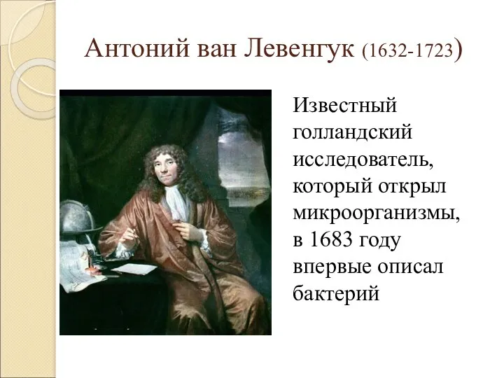 Антоний ван Левенгук (1632-1723) Известный голландский исследователь, который открыл микроорганизмы, в 1683 году впервые описал бактерий