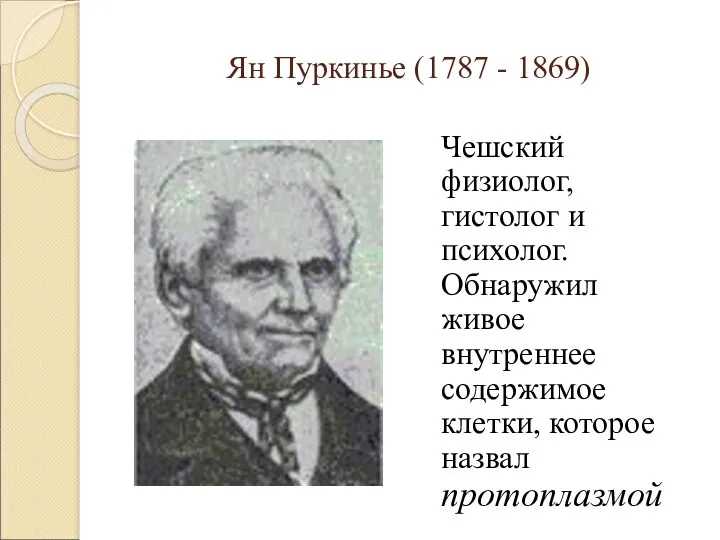 Ян Пуркинье (1787 - 1869) Чешский физиолог, гистолог и психолог.