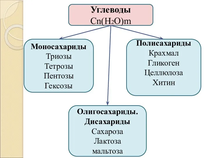 Углеводы Cn(H2O)m Моносахариды Триозы Тетрозы Пентозы Гексозы Олигосахариды. Дисахариды Сахароза