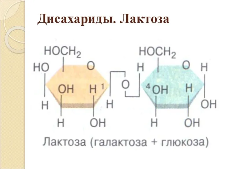 Дисахариды. Лактоза