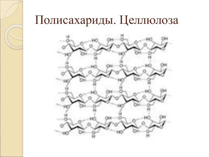 Полисахариды. Целлюлоза