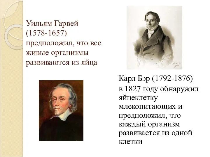 Уильям Гарвей(1578-1657) предположил, что все живые организмы развиваются из яйца